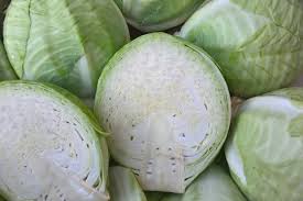 organic seasonal cabbage